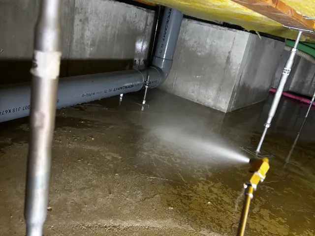 ☆☆☆新春キャンペーン☆☆☆【害虫駆除/ゴキブリ】サービスの画像