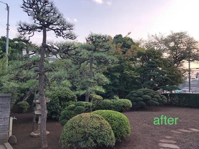 《業界歴12年の経験実績》豊富な経験と知識で安心！作業外注一切なし◎サービスの画像