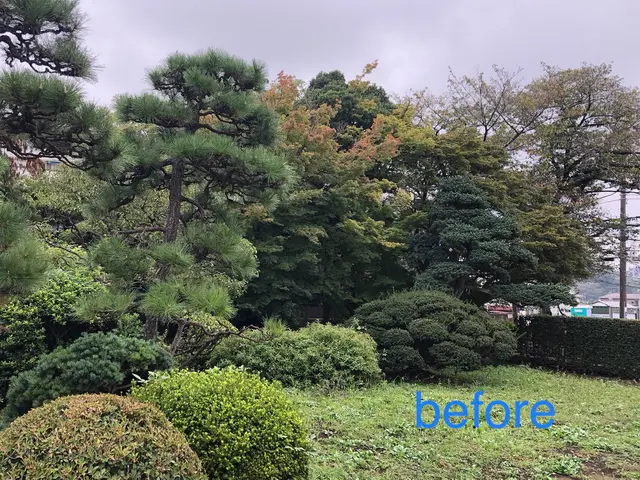 《業界歴12年の経験実績》豊富な経験と知識で安心！作業外注一切なし◎サービスの画像