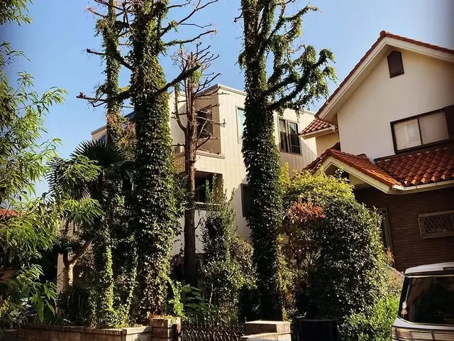 【損害保険加入！】安全・丁寧な作業を心がけております！！サービスの画像