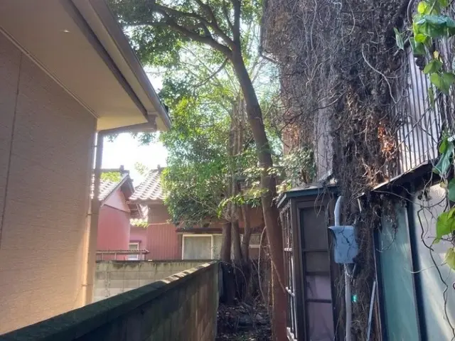 【損害保険加入！】安全・丁寧な作業を心がけております！！サービスの画像