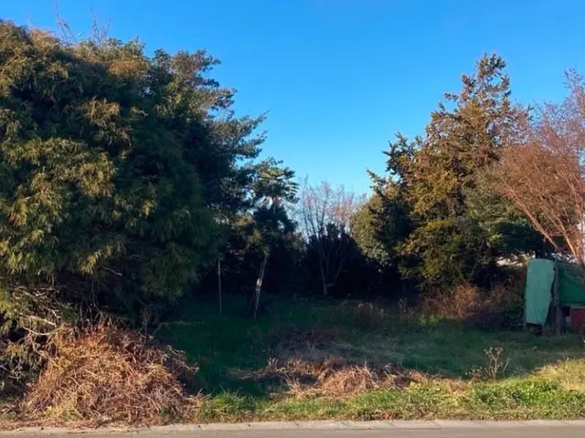 【損害保険加入！】安全・丁寧な作業を心がけております！！サービスの画像