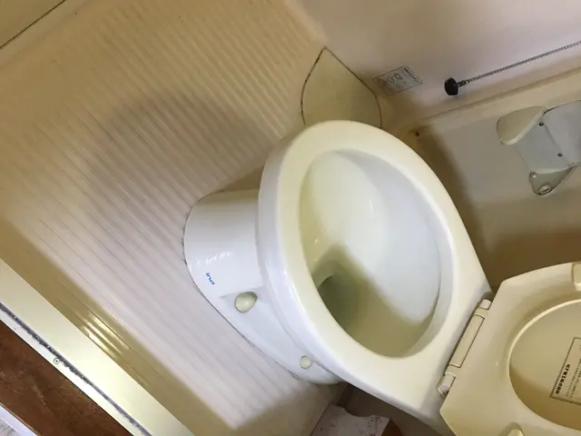 11/17〜予約可　落ちない汚れありませんか？ハウスクリーニング技能士が伺いますサービスの画像