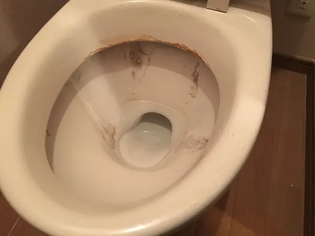 11/17〜予約可　落ちない汚れありませんか？ハウスクリーニング技能士が伺いますサービスの画像