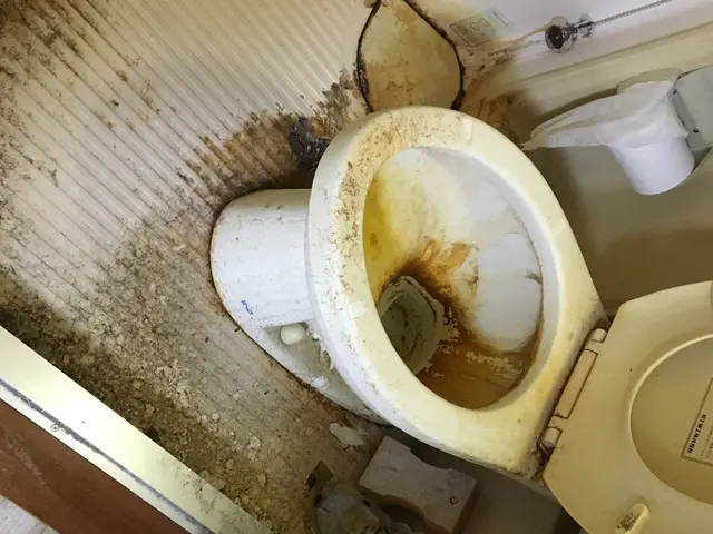 11/17〜予約可　落ちない汚れありませんか？ハウスクリーニング技能士が伺いますサービスの画像