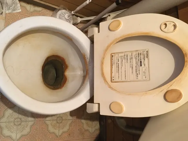 11/17〜予約可　落ちない汚れありませんか？ハウスクリーニング技能士が伺いますサービスの画像