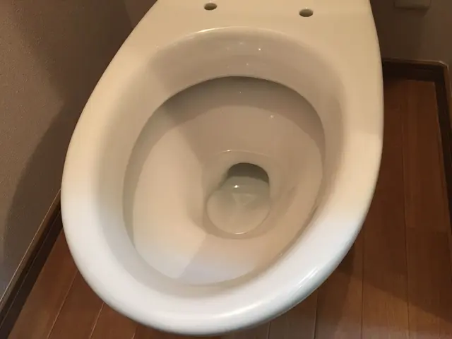 11/17〜予約可　落ちない汚れありませんか？ハウスクリーニング技能士が伺いますサービスの画像