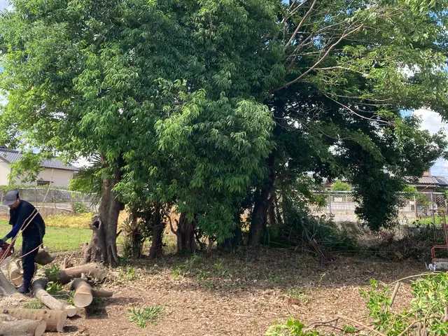 業歴10年以上の職人が伺います！サービスの画像