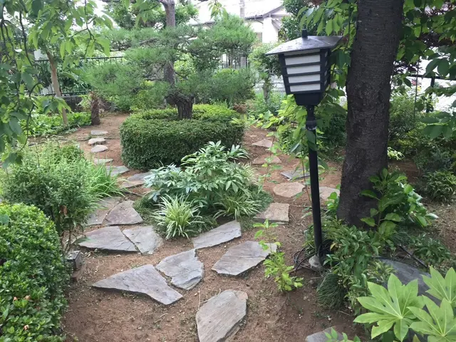 【累計1000件以上】環境配慮★即日相談可/損害保険加入/時間外・地域外相談可サービスの画像