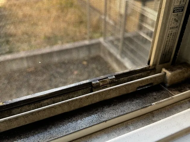 【業界歴10年、月30件の実績】冊子のカビや汚れが気になる方は是非弊社にお任せ！サービスの画像