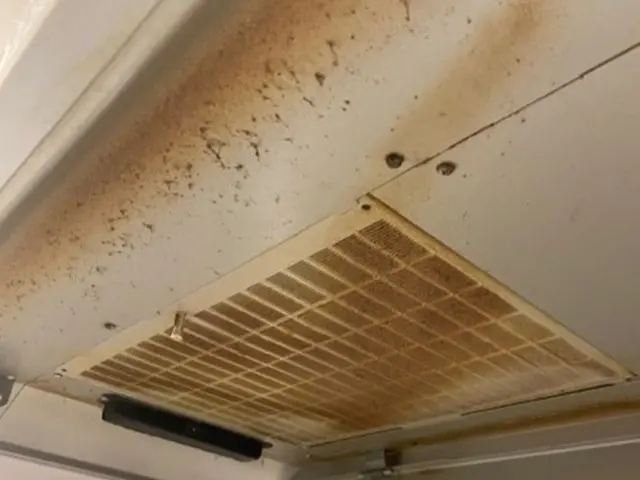 【くらマ特別価格２７,０００円→２６,０００円】／クレカ、PayPay決済OK♪サービスの画像