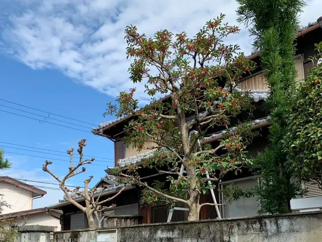 男女2人チームでお伺い！明るく親しみやすいスタッフが対応！サービスの画像