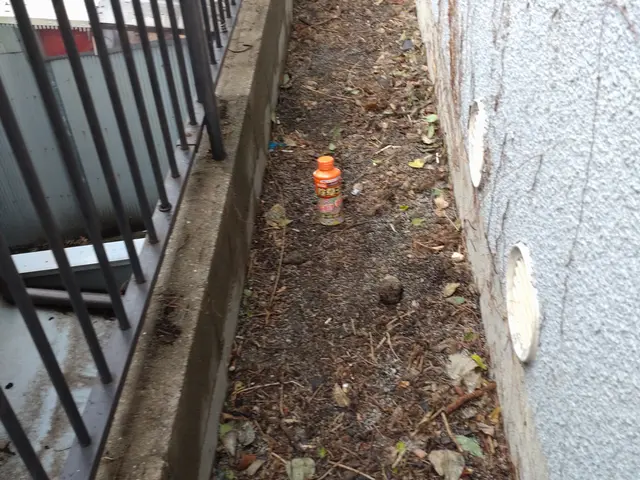 ◆職人歴33年の実績◆1級造園施工管理技士◆1級エクステリアプランナーサービスの画像