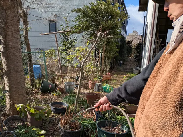 水揚げは意外と奥が深いです！サービスの画像