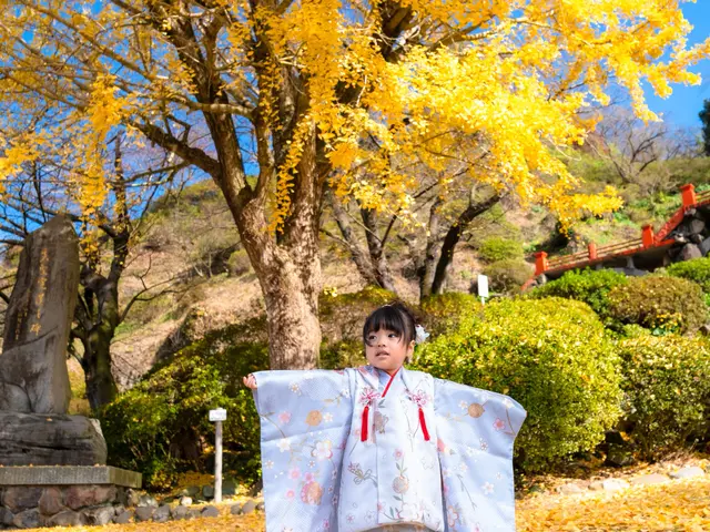 リラックスした撮影セッションをお約束！和傘・刀・扇子など小物も無料貸出中