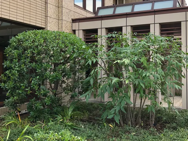 《植木屋を始めてから10年目》神奈川県を中心に対応中◎サービスの画像