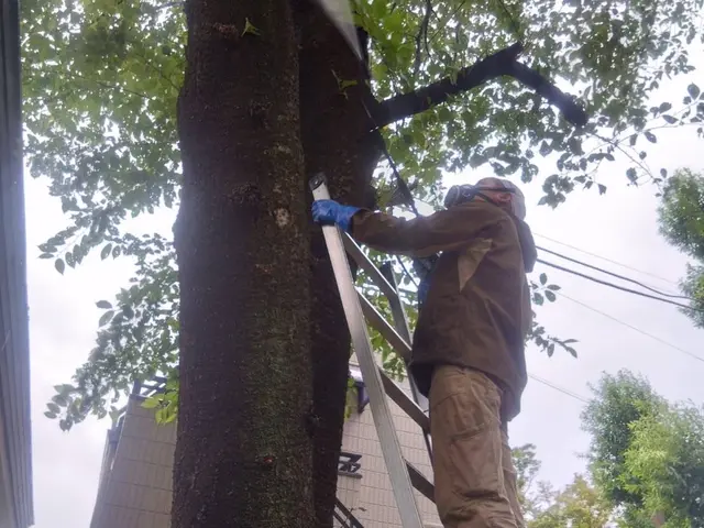 ケムシにバイバイ！　害虫対策施工実績豊富なのは（合)山本企画サービスの画像