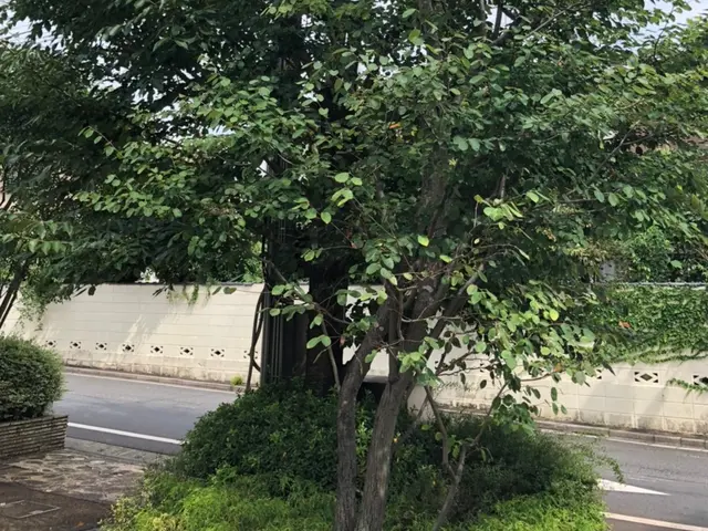 害虫・害鳥対策専門会社の(合)山本企画サービスの画像