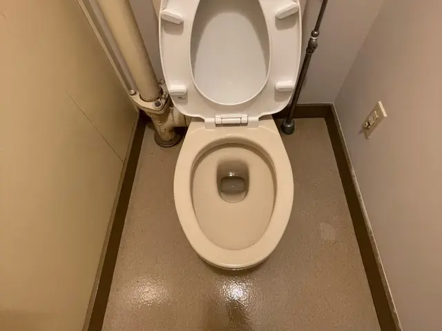 当日予約　24時間対応可！11月2日　14:00/20:00枠空いてます！サービスの画像