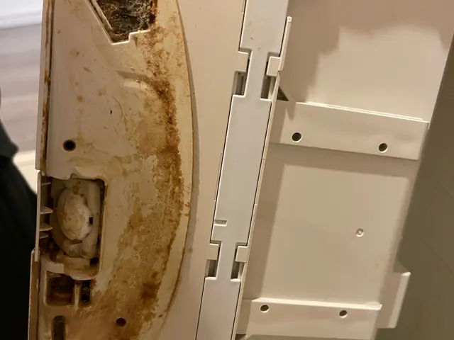 当日予約　24時間対応可！11月2日　14:00/20:00枠空いてます！サービスの画像