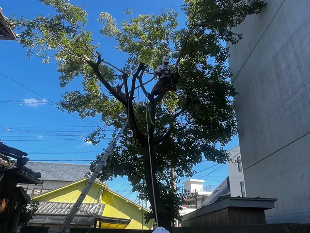 ＜店長の私が必ず伺います！＞作業外注一切なし◎豊富な経験と知識で安心！サービスの画像