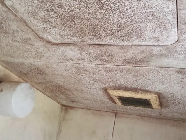 《有料駐車場代は当店が負担します◎》新品スリッパ持参！損害保険加入済み！サービスの画像