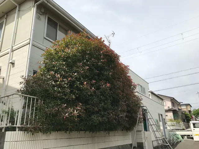 【年間600件の作業実績あり!!】若さを生かして、迅速・丁寧に対応いたします！サービスの画像