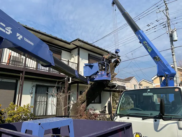 空師 / 特殊伐採技術を駆使して、安全に伐採いたします！サービスの画像