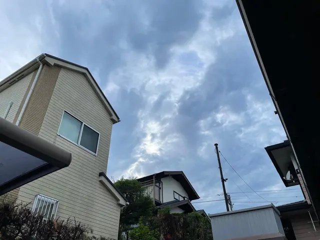 アーボリスト / ツリークライミング技術を駆使して、安全に伐採いたします。サービスの画像