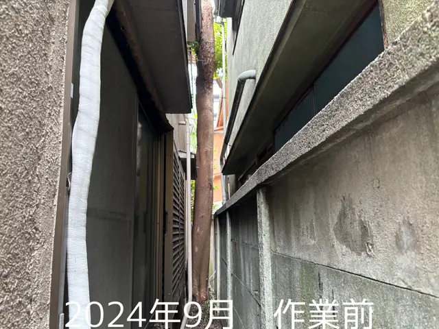 空師 / 特殊伐採技術を駆使して、安全に伐採いたします！サービスの画像