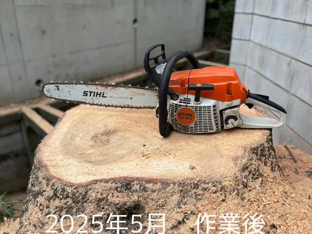 空師 / 特殊伐採技術を駆使して、安全に伐採いたします！サービスの画像