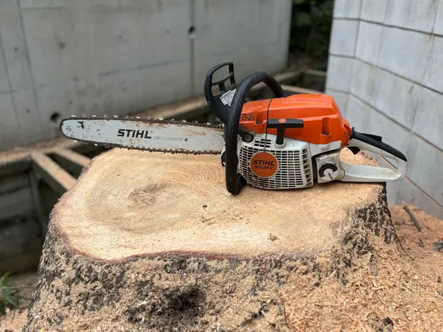 空師 / 特殊伐採技術を駆使して、安全に伐採いたします！サービスの画像