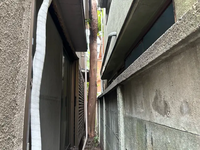 空師 / 特殊伐採技術を駆使して、安全に伐採いたします！サービスの画像