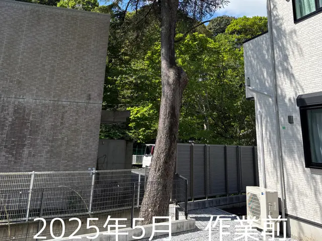 空師 / 特殊伐採技術を駆使して、安全に伐採いたします！サービスの画像