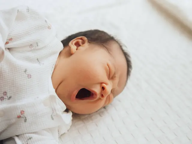 11月新出店◎ママと子どもの「二度と訪れない今この瞬間」を。【和泉市】サービスの画像