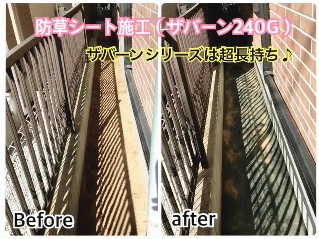 野田市発！『年内のご予約締め切りました』是非ご予約はお早めに！サービスの画像