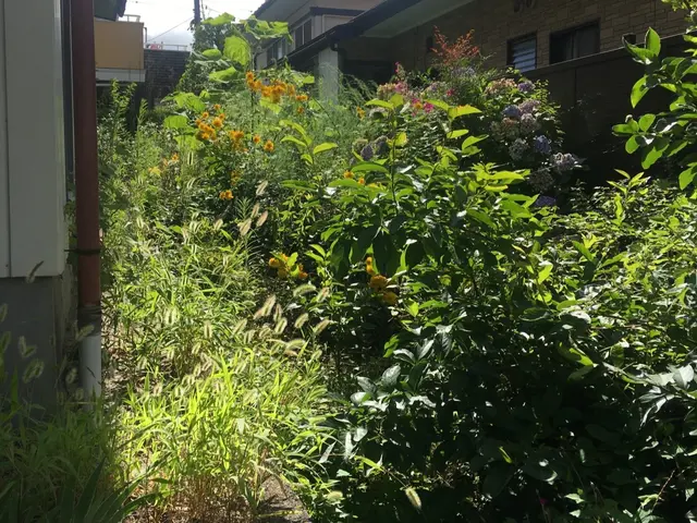 作業実績1000件超え！職人歴15年以上の私にお任せ下さい！単発も年契約も可能！サービスの画像