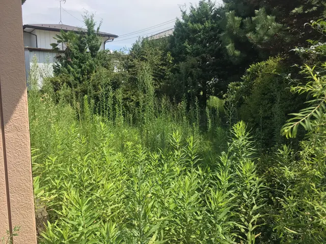 作業実績1000件超え！職人歴15年以上の私にお任せ下さい！単発も年契約も可能！サービスの画像