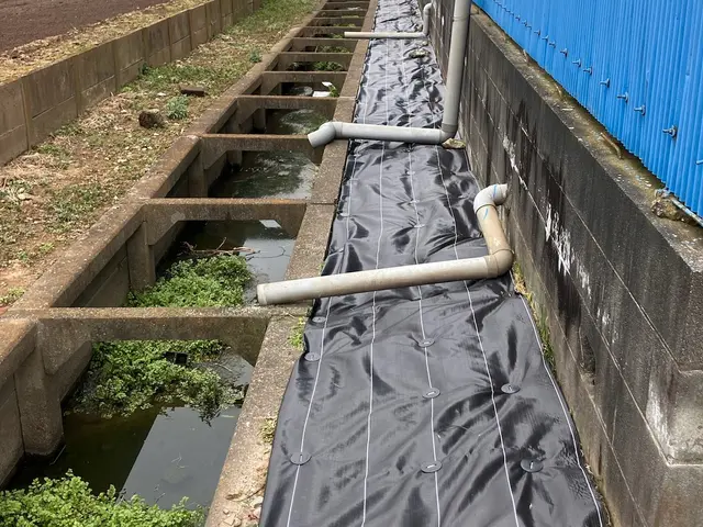 寒さ暑さもなんのその！草むしりから解放されませんか？サービスの画像