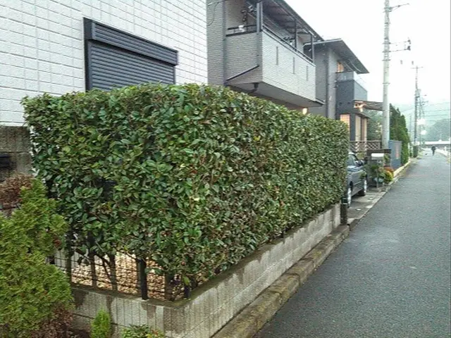 ◎大手の経験あり◎営業時間外・対応地域外でもご要望OK！完全自社対応！サービスの画像