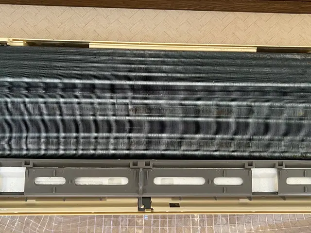 3,300円のプレミアム洗浄『消臭プラスワン』無料体験中！サービスの画像