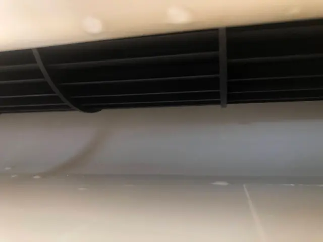 3,300円のプレミアム洗浄『消臭プラスワン』無料体験中！サービスの画像