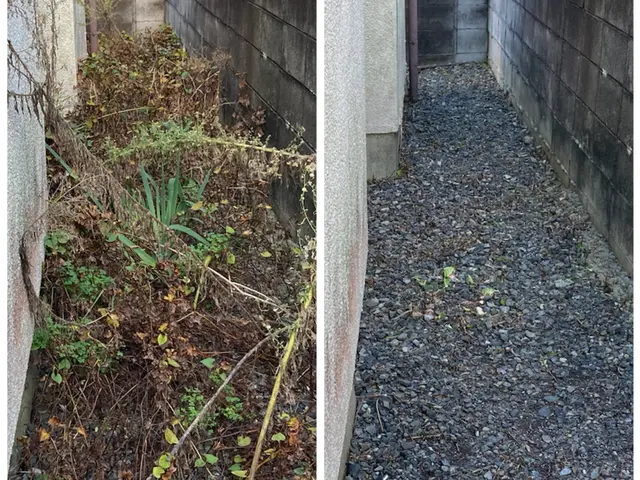 【お庭のお悩みお任せください】只今、閑散期につき、通常よりお安くサービス提供中！サービスの画像