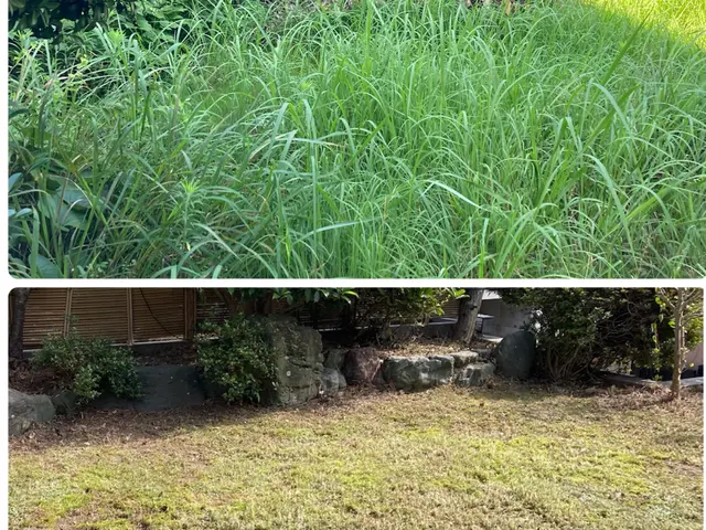 【お庭のお悩みお任せください】只今、閑散期につき、通常よりお安くサービス提供中！サービスの画像