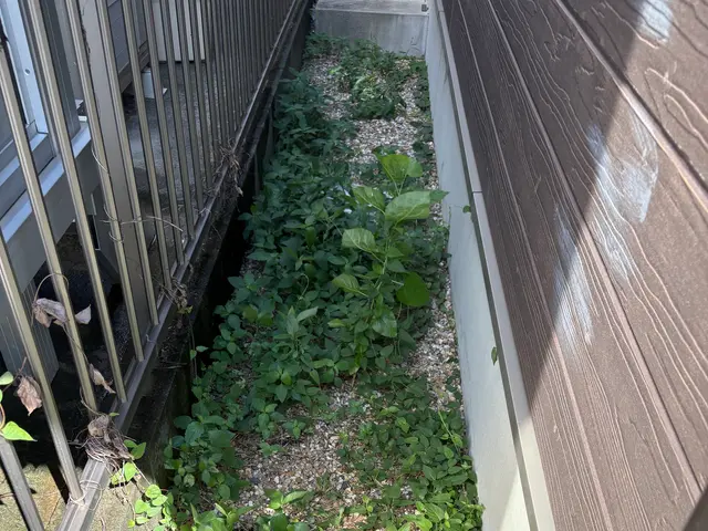 【新規出店キャンペーン】☆地域完全最安☆除草剤無料☆要望に幅広く応えます☆サービスの画像