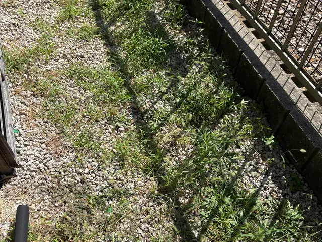 【新規出店キャンペーン】☆地域完全最安☆除草剤無料☆要望に幅広く応えます☆サービスの画像