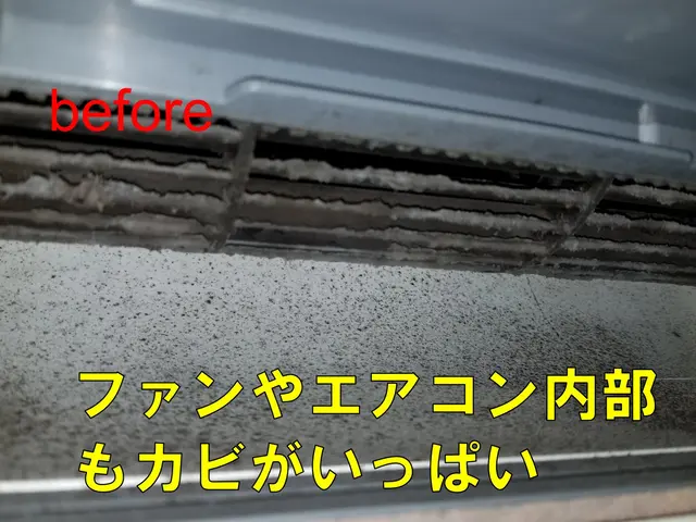 夫婦二人で丁寧に洗浄！カビ・ニオイを撃退し、電気代も節約。安心のサービス☆サービスの画像