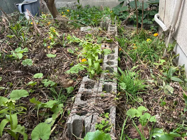 ☆豊かな緑のお庭を☆豊緑園にお任せ下さい！ご自宅以外も対応致します！サービスの画像