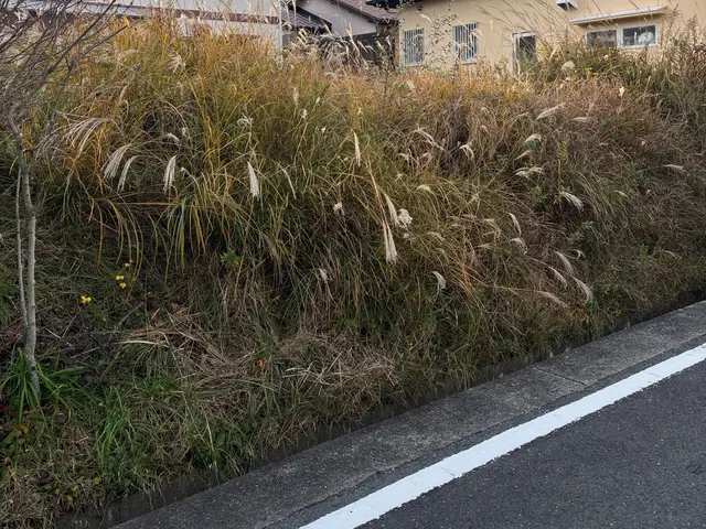 ☆豊かな緑のお庭を☆豊緑園にお任せ下さい！ご自宅以外も対応致します！サービスの画像