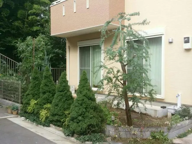 【業歴24年】木の特性を活かした剪定を行います！サービスの画像